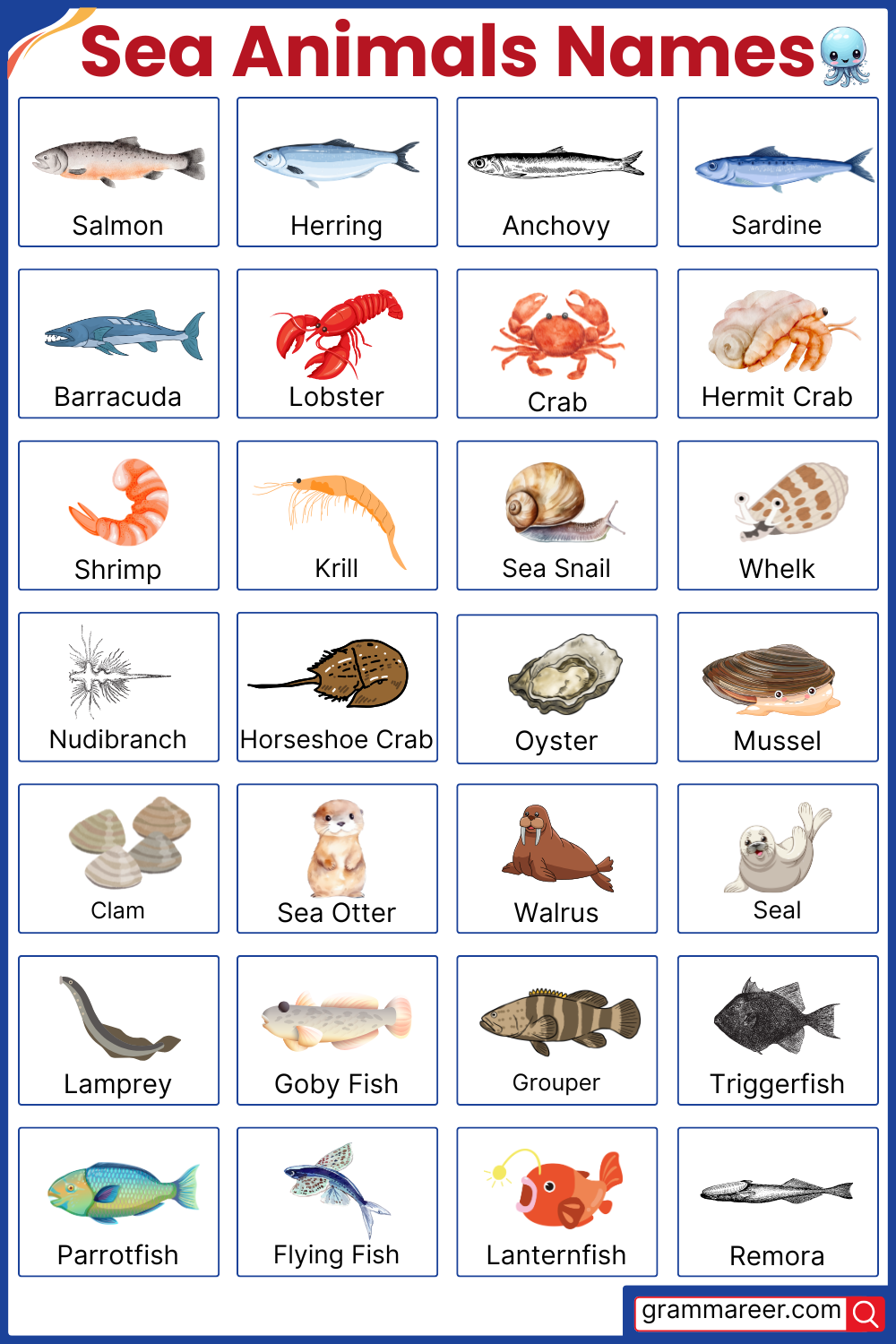 List of 100 Sea Animals Names in English with their Pictures