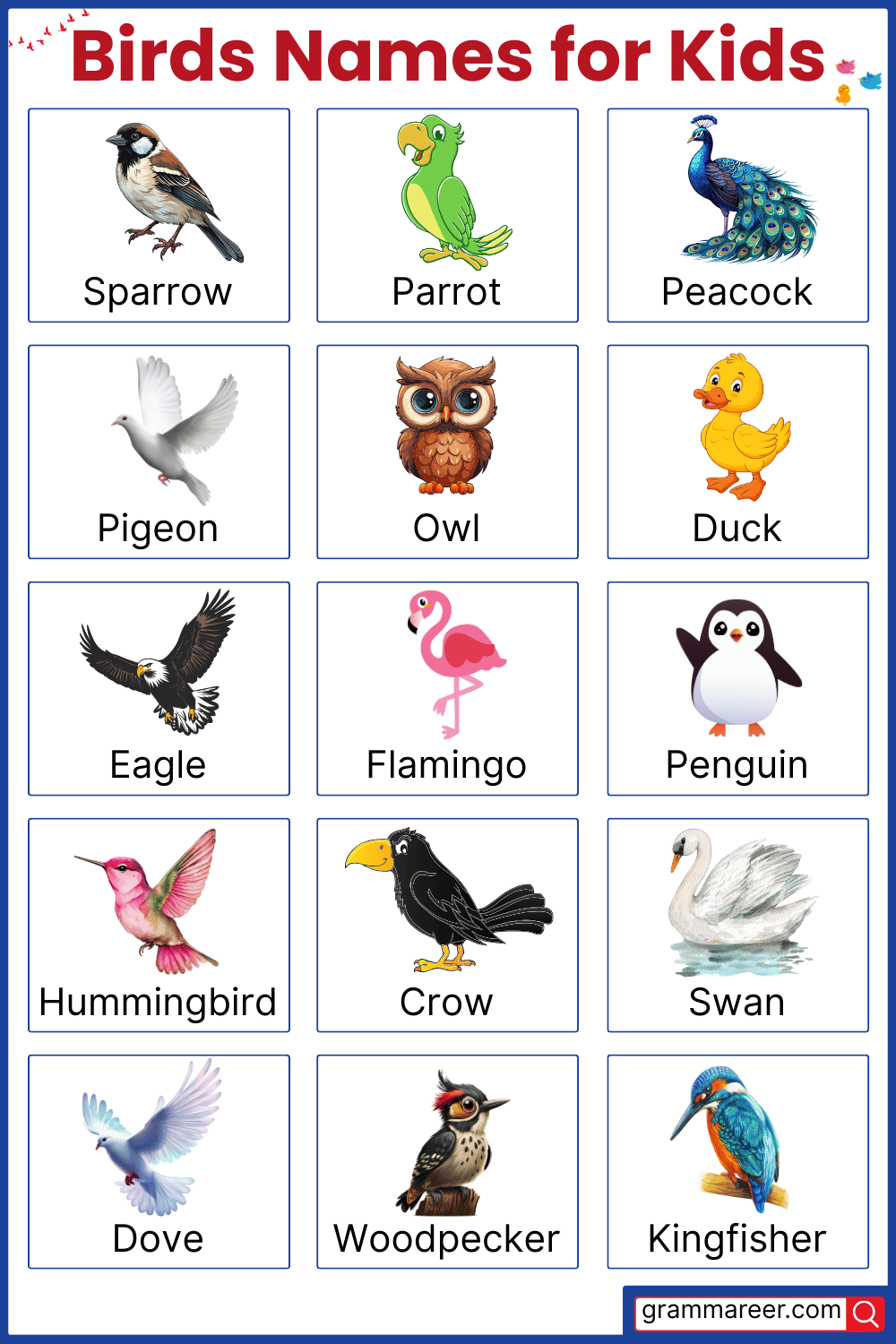 Common Names of Birds for Kids with Pictures in English