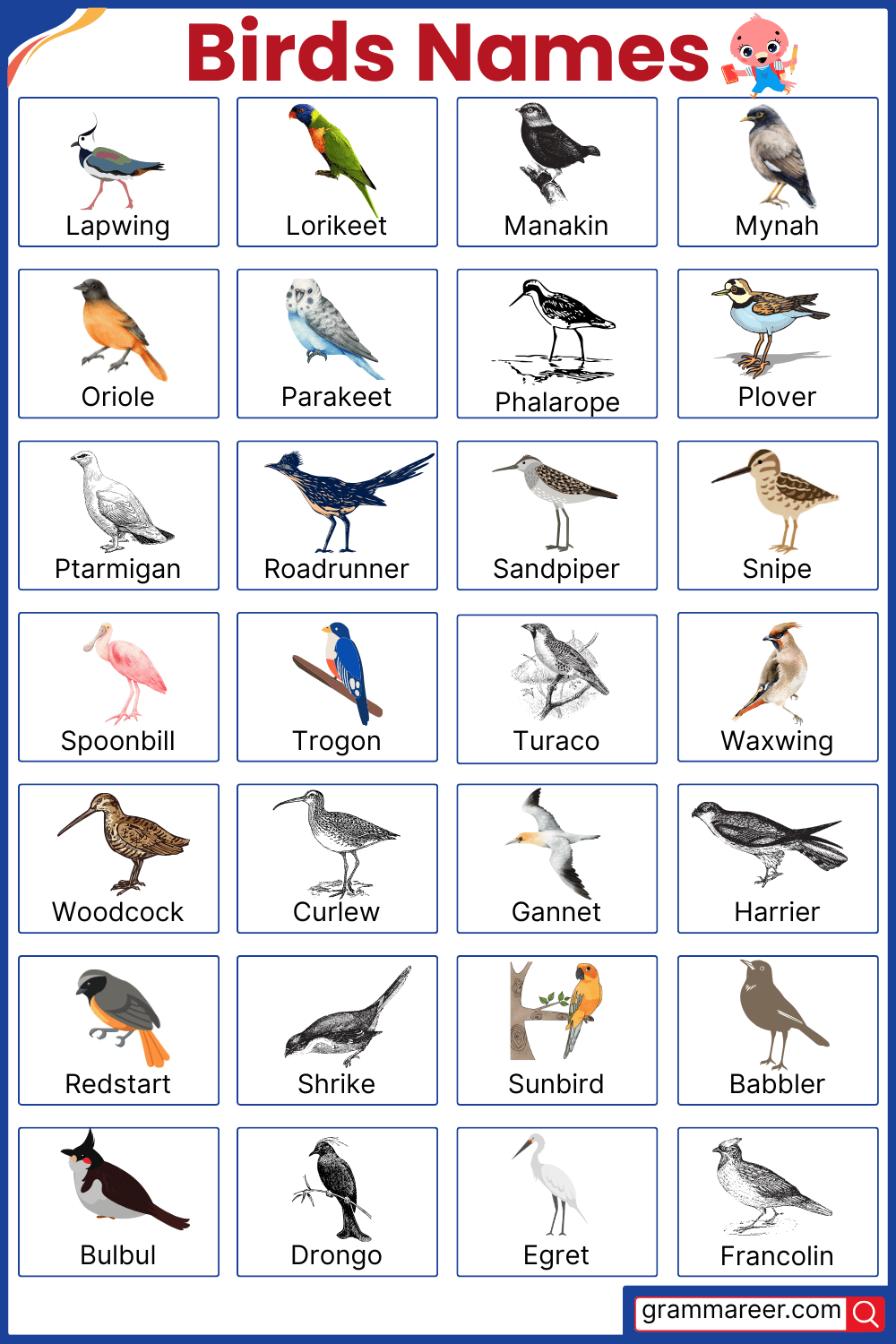 Names of common Birds with their Pictures