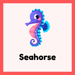 Seahorse – Curled-Tail Ocean Fish
