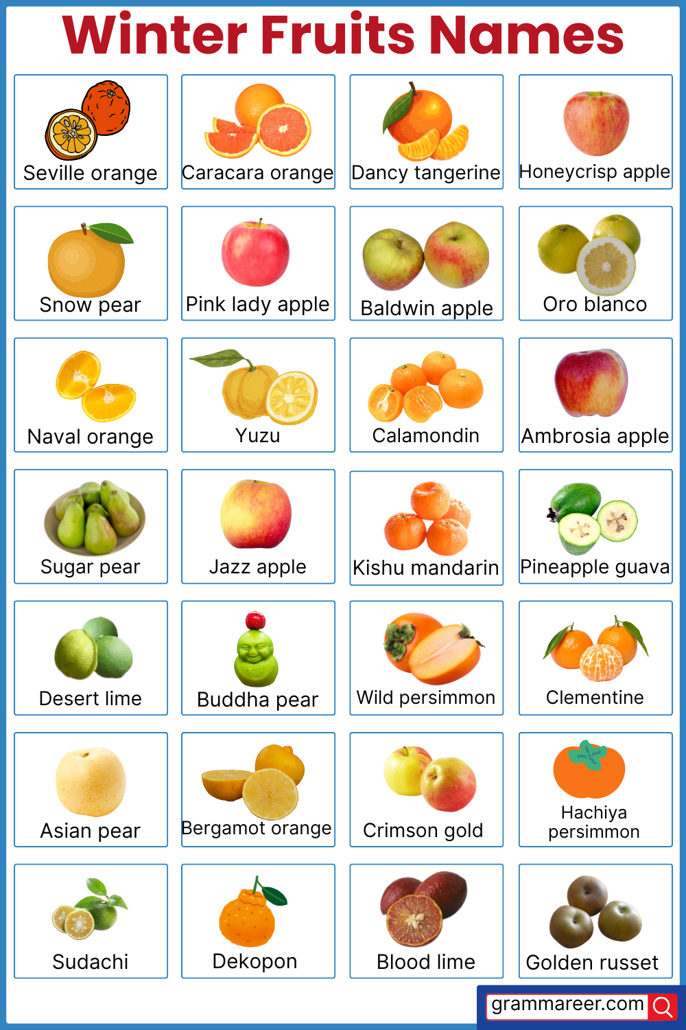 Winter fruits names in English – orange, pomegranate, kiwi with pictures