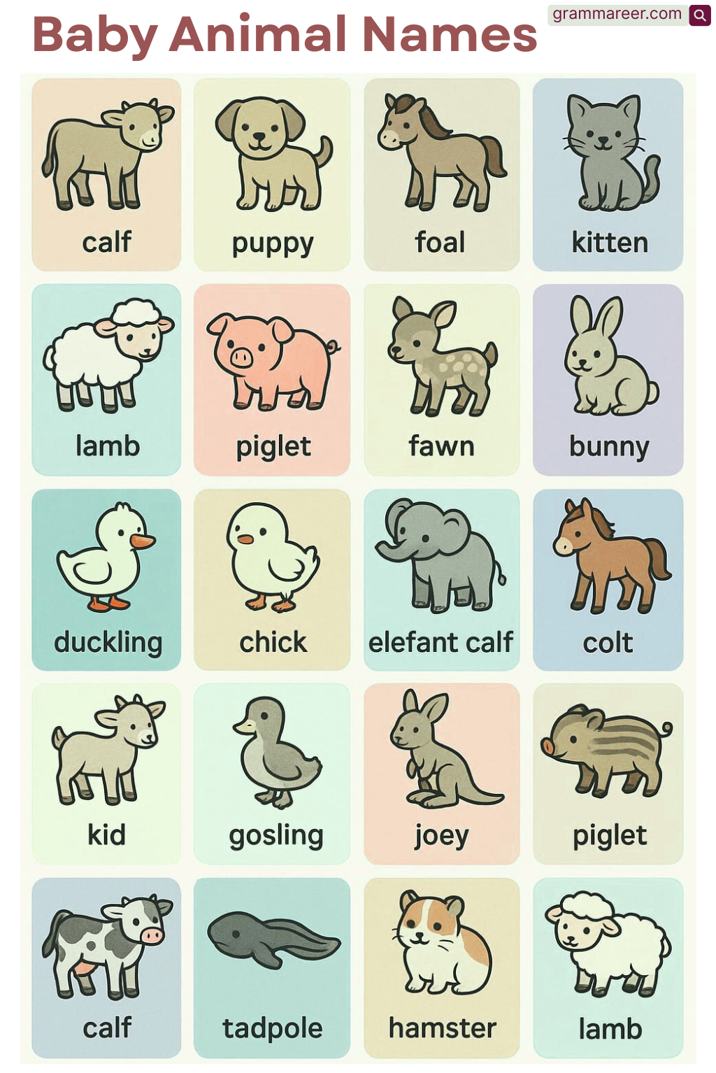 List of baby animals names grouped by species