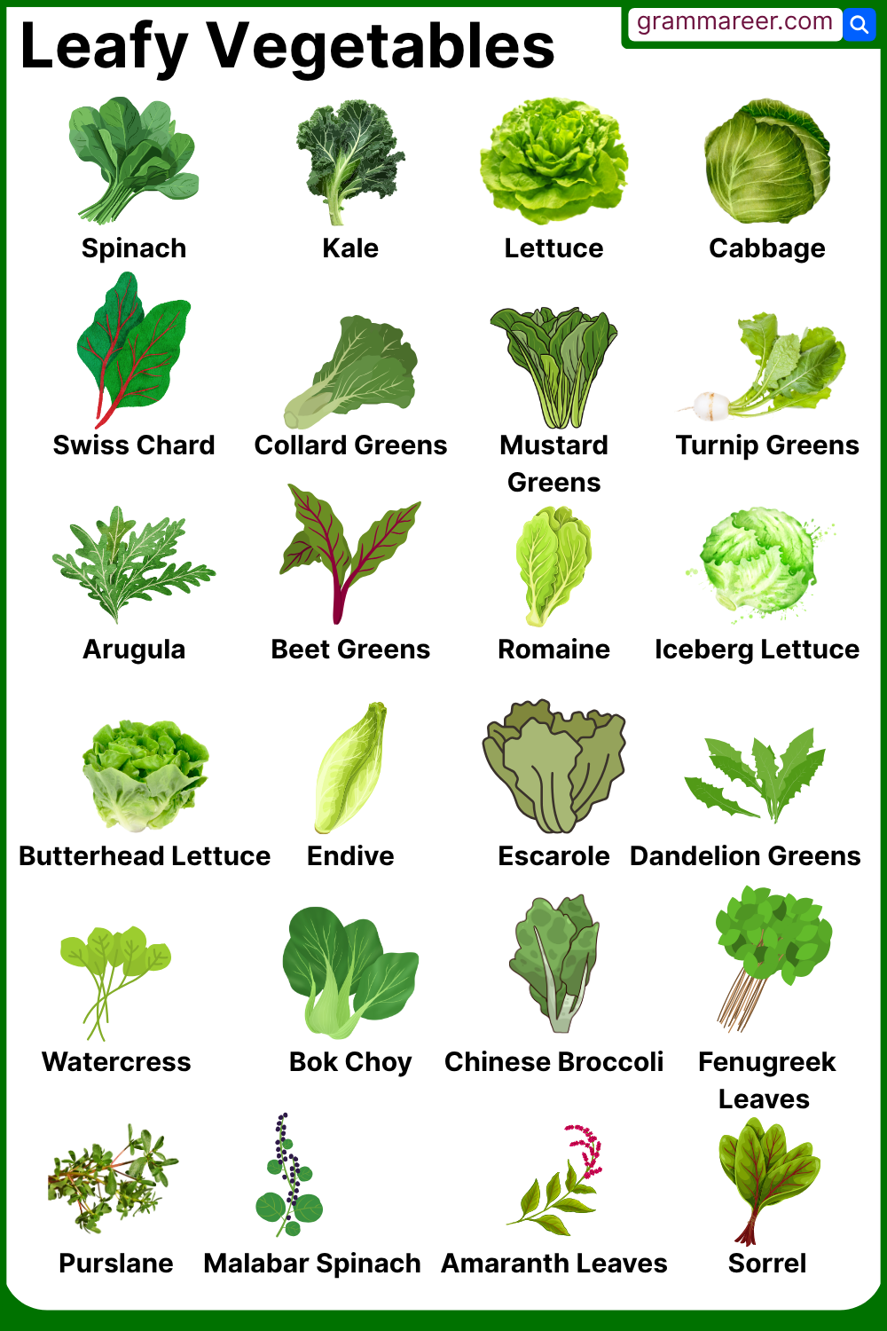 List of leafy vegetables names used in global cooking