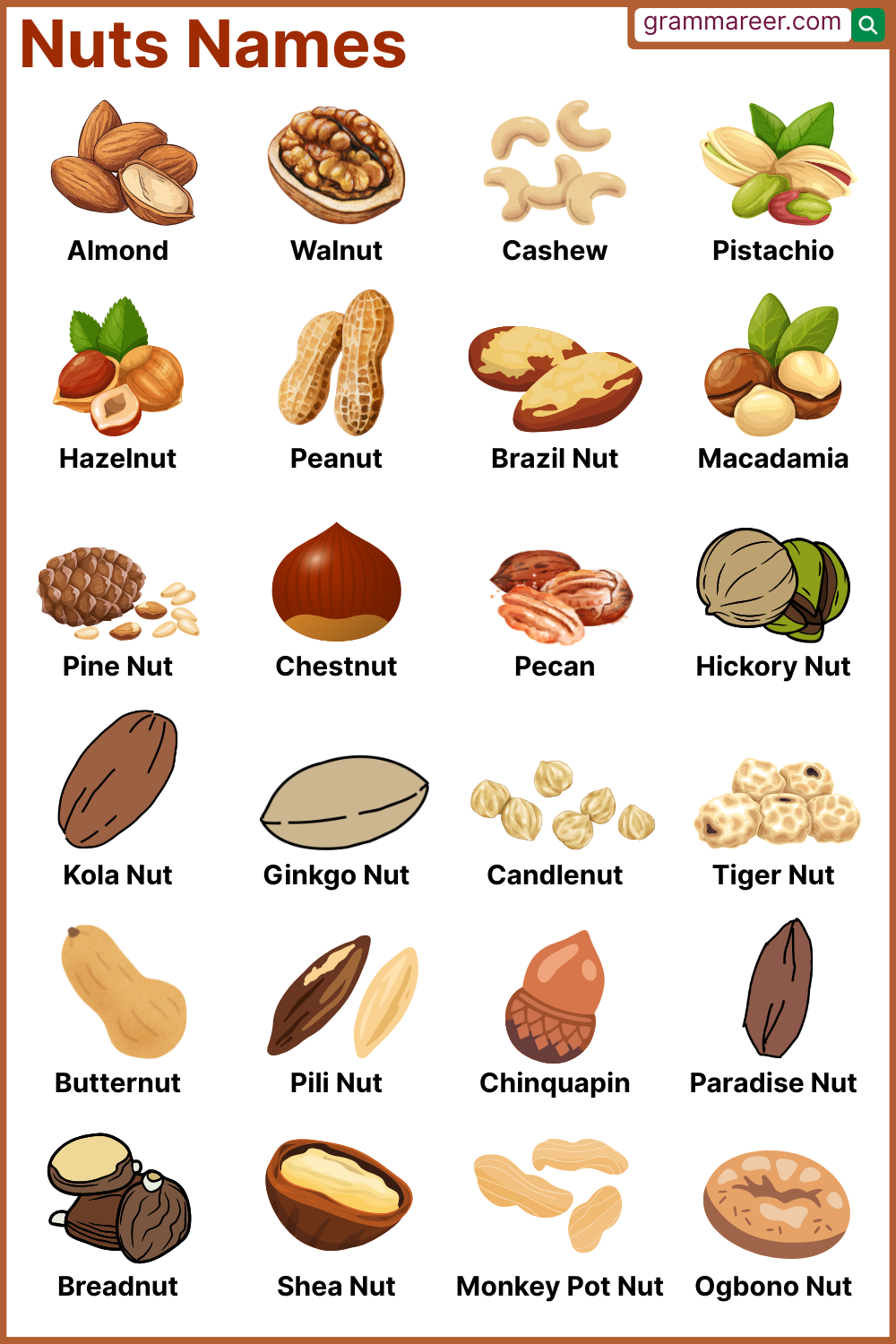 100 List of Nuts Names in English for Beginners