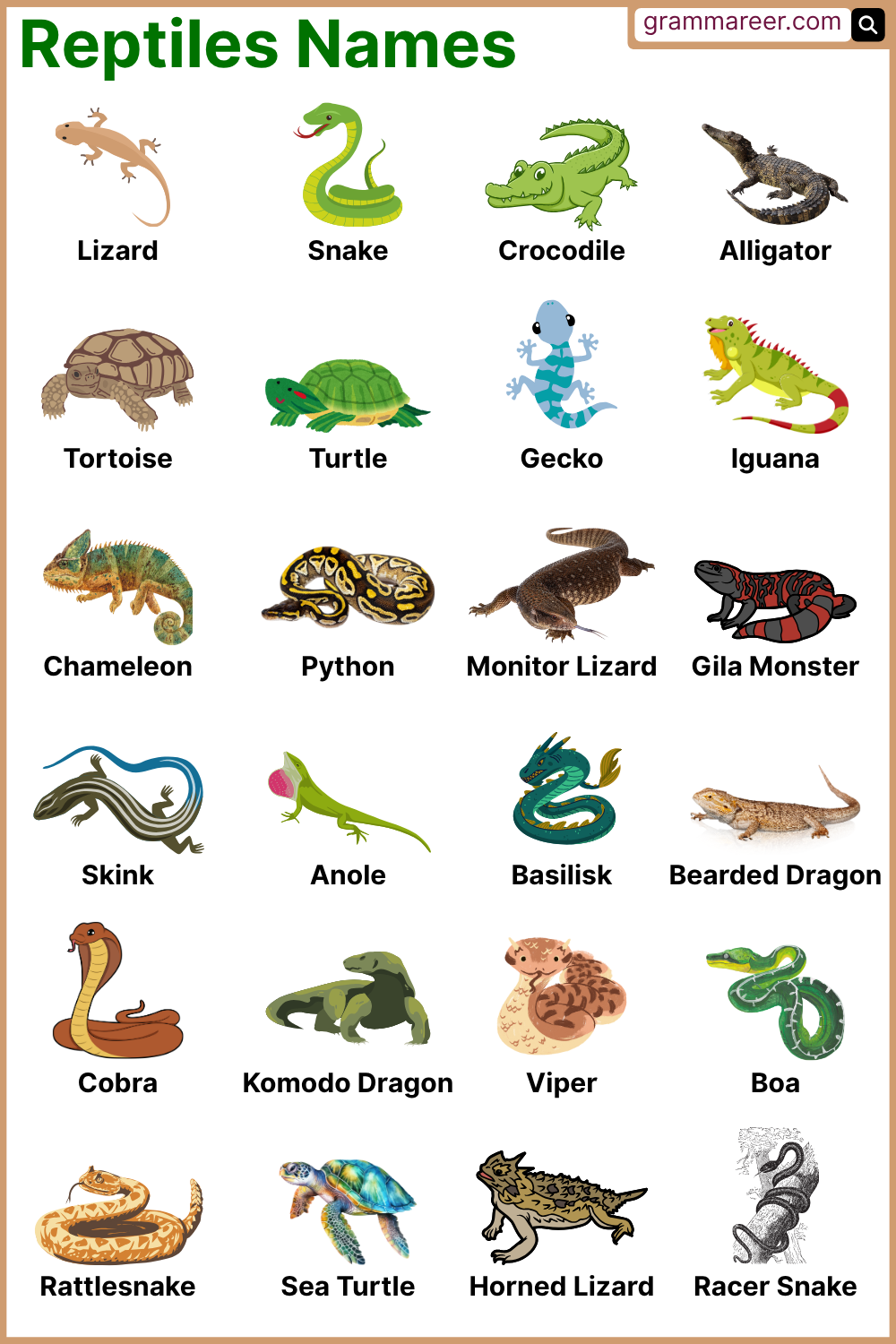 Reptiles Names List by Type, Habitat, and Features