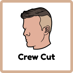 Crew cut haircut name with short sides and neat top style