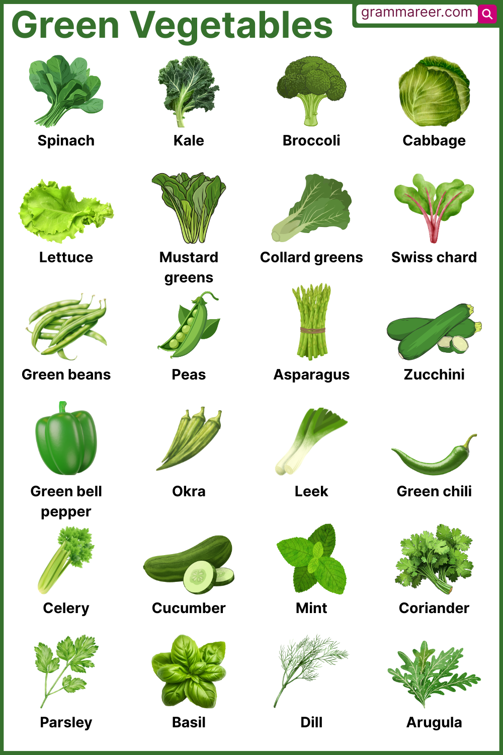 List of green vegetables with names and pictures in English