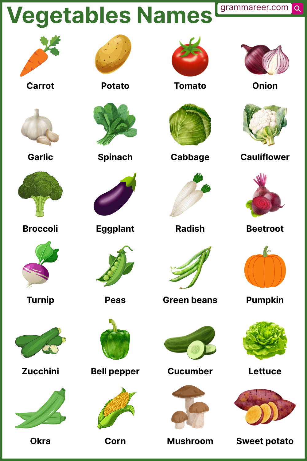 vegetables names list in English with pictures and categories