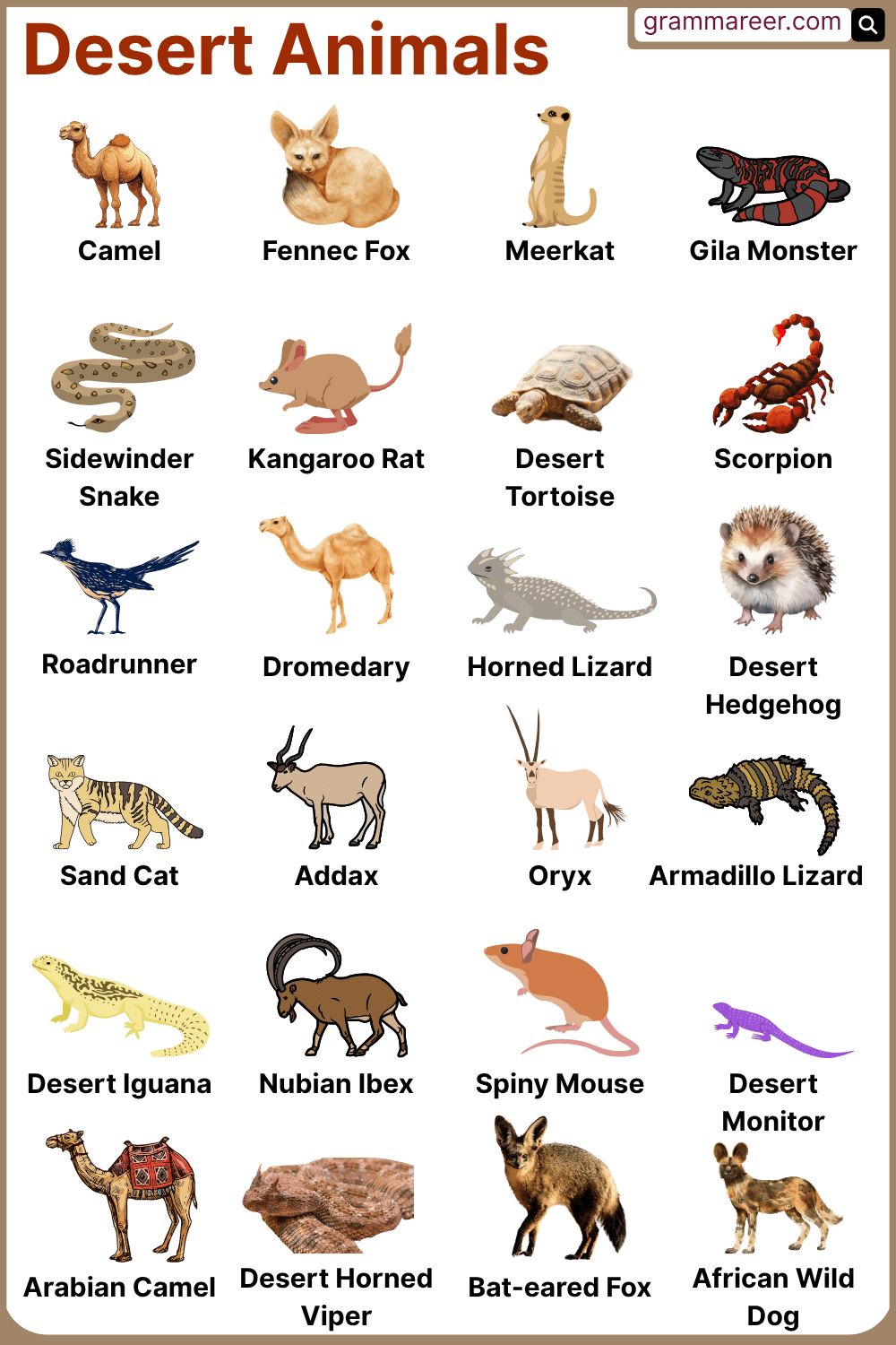 List of Desert Animals Names with their Pictures