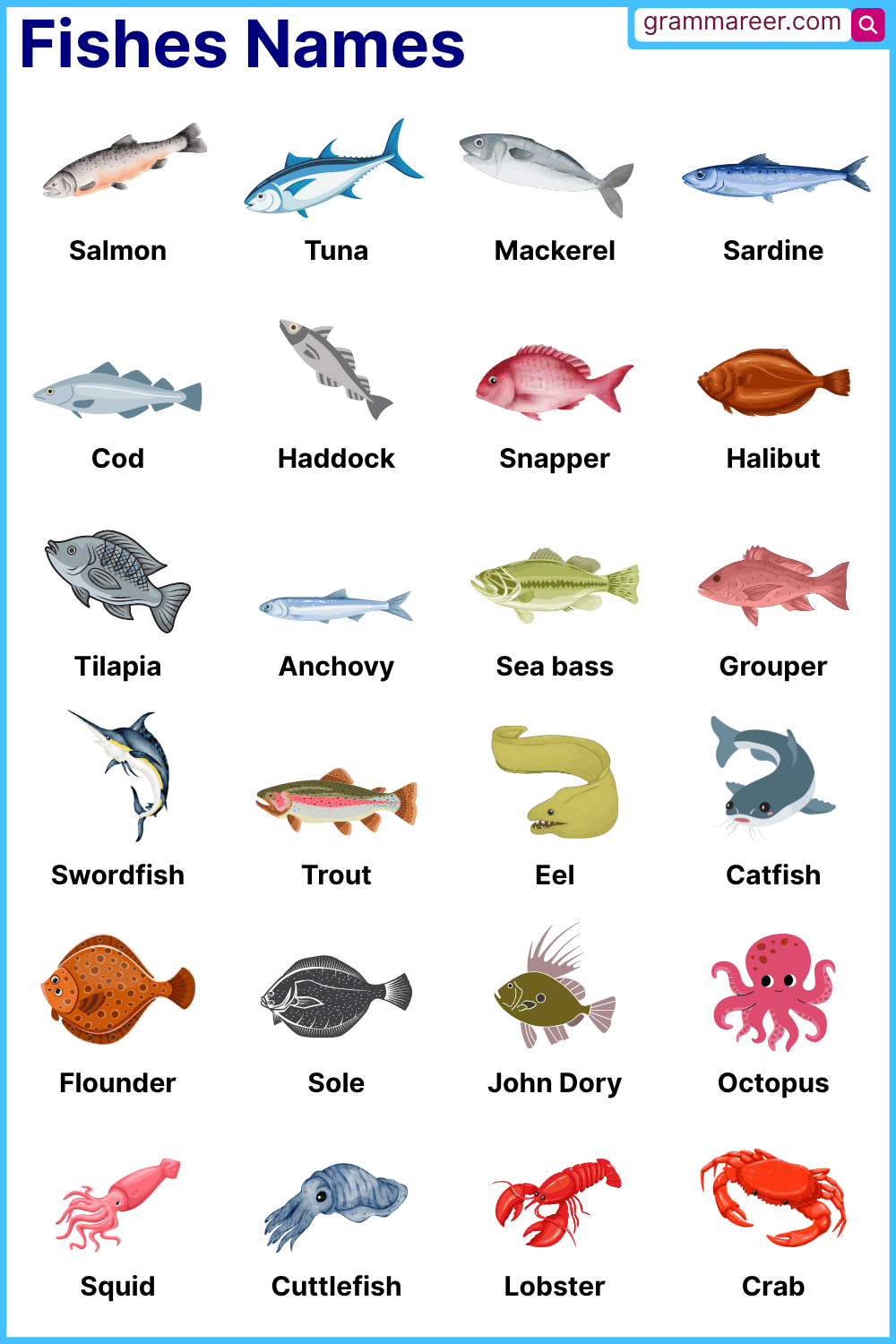 Common Freshwater and Saltwater Fish Names