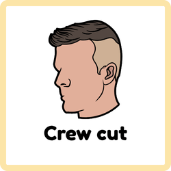 Crew Cut hairstyle for men– short trim example