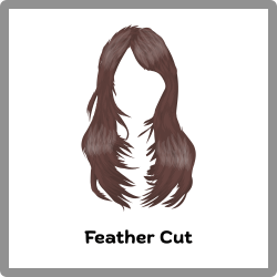 Feather cut women’s hairstyle with soft feathered ends