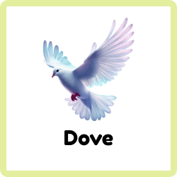 Dove – Symbol of Peace and Love