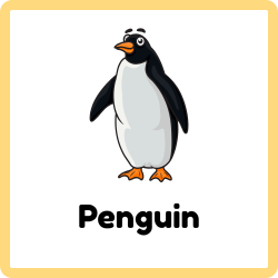 Penguins | Type of Birds