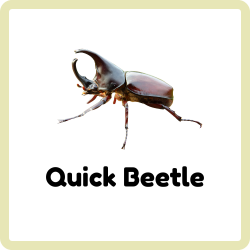 Quick Beetle