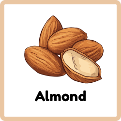 Almond