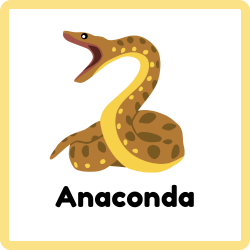 Anaconda