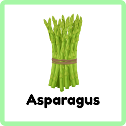Asparagus