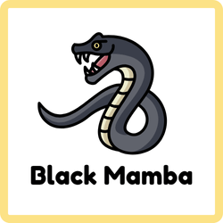 Black Mamba