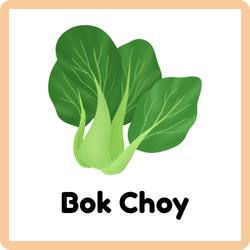 Bok Choy