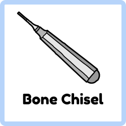 Bone Chisel