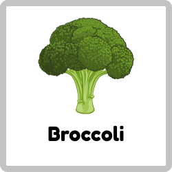 Broccoli - Green Vegetables Names