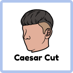 Caesar Cut