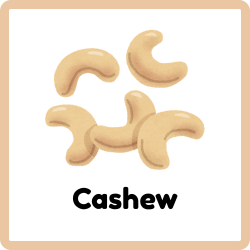 Cashew