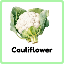 Cauliflower