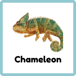 Chameleon