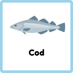 Cod | Fish Names