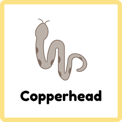 Copperhead