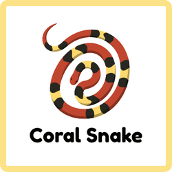 Coral Snake