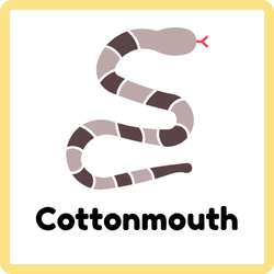 Cottonmouth