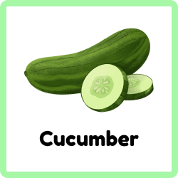 Cucumber