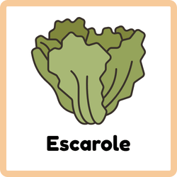 Escarole | Leafy Vegetables Names