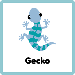 Gecko - Reptiles Names