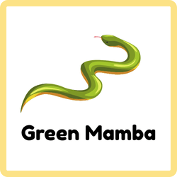 Green Mamba