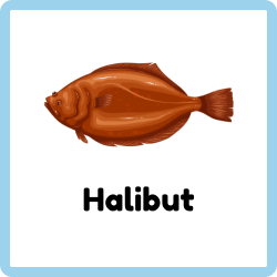 Halibut