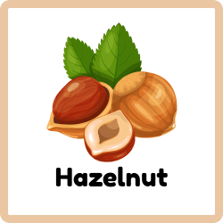 Hazelnut