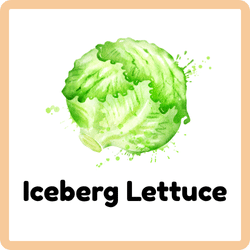 Iceberg Lettuce | Leafy Vegetables Names