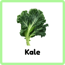 Kale | Leafy Vegetables Names
