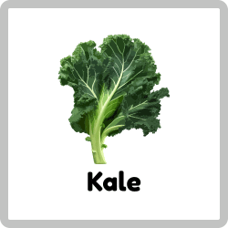 Kale - Green Vegetables Names