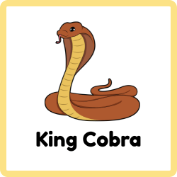 King Cobra - Snakes Names