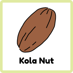 Kola Nut