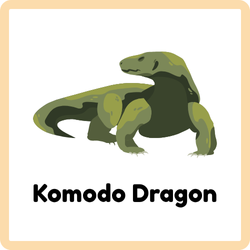 Komodo Dragon - Reptiles Names