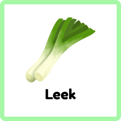 Leek
