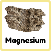 Magnesium