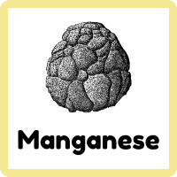 Manganese | Metal Names