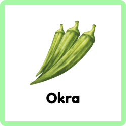 Okra - Green Vegetables Names